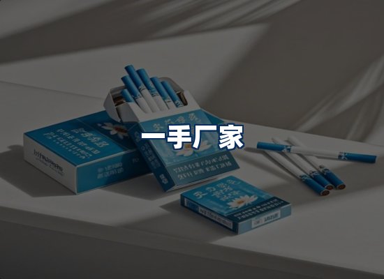 专业团队办公环境